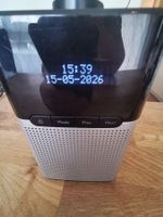 TCM DAB und FM, Bluetooth Radio