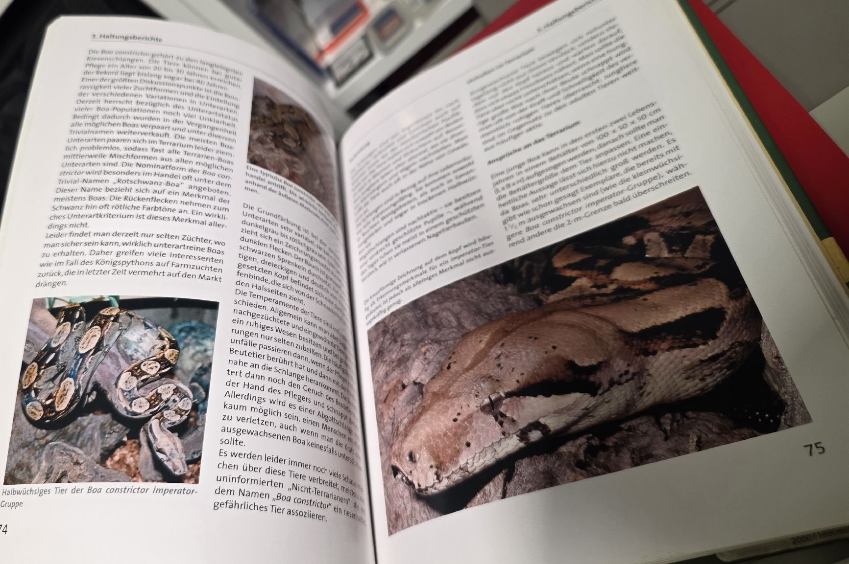 Libri: Schlangenpflege Handbuch (BUCH) – Usato da Reinach BL venduto da _MasterK_ 4