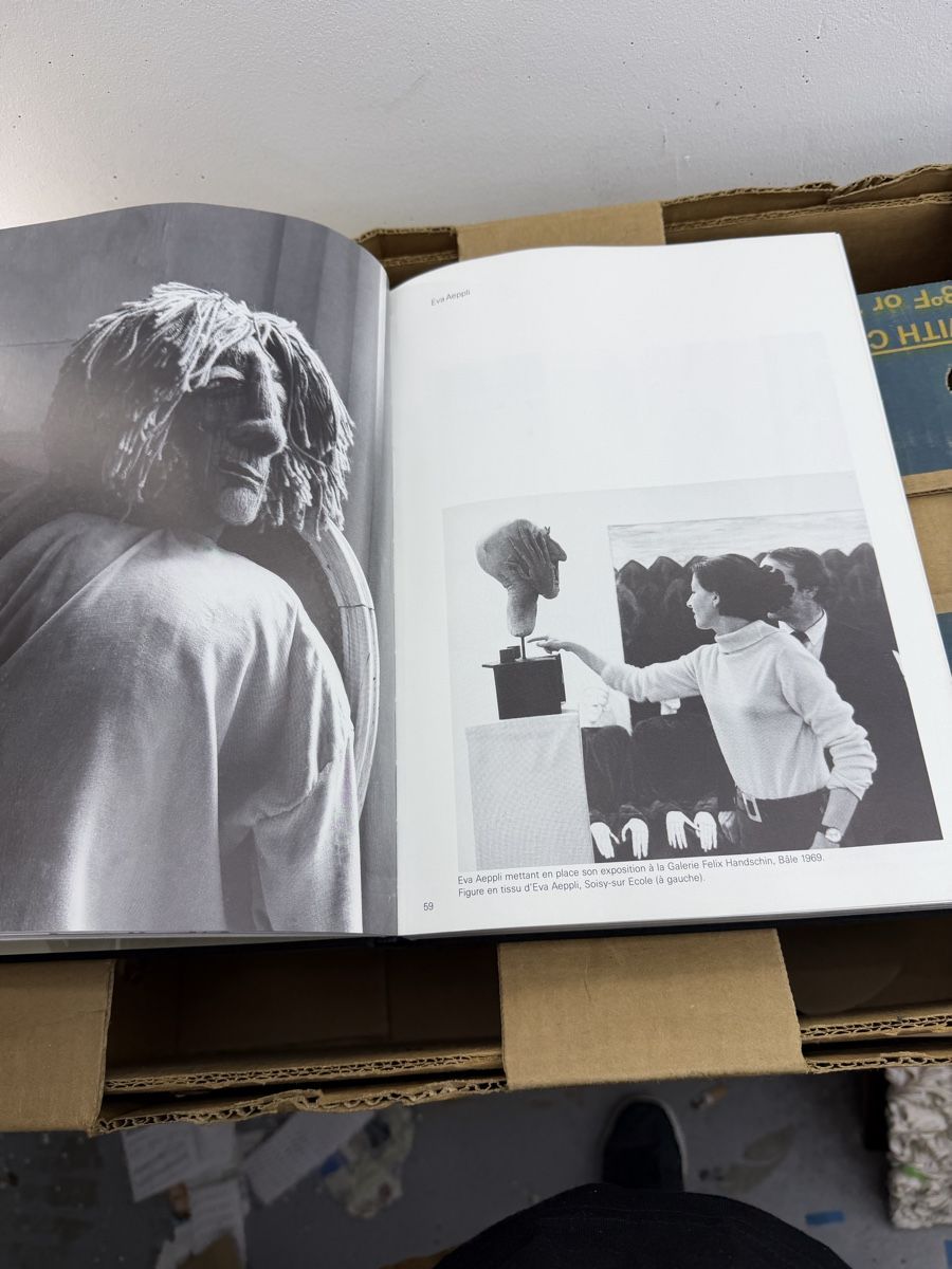 Libri: Pandémonium Jean Tinguely – Usato da Wettingen venduto da NickInc 7