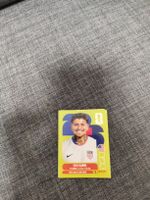 panini USA 14