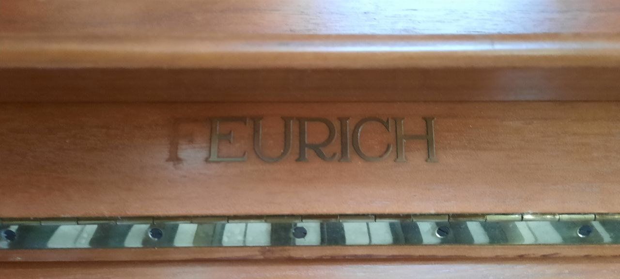 Feurich Strumenti musicali: Klavier Feurich – Usato da Männedorf venduto da danielho 2