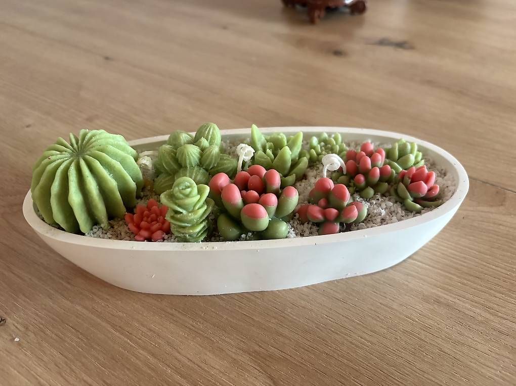 Kerzen: Bougie cactus citron meringuée  – Gebraucht aus Courfaivre von qla_s8bk