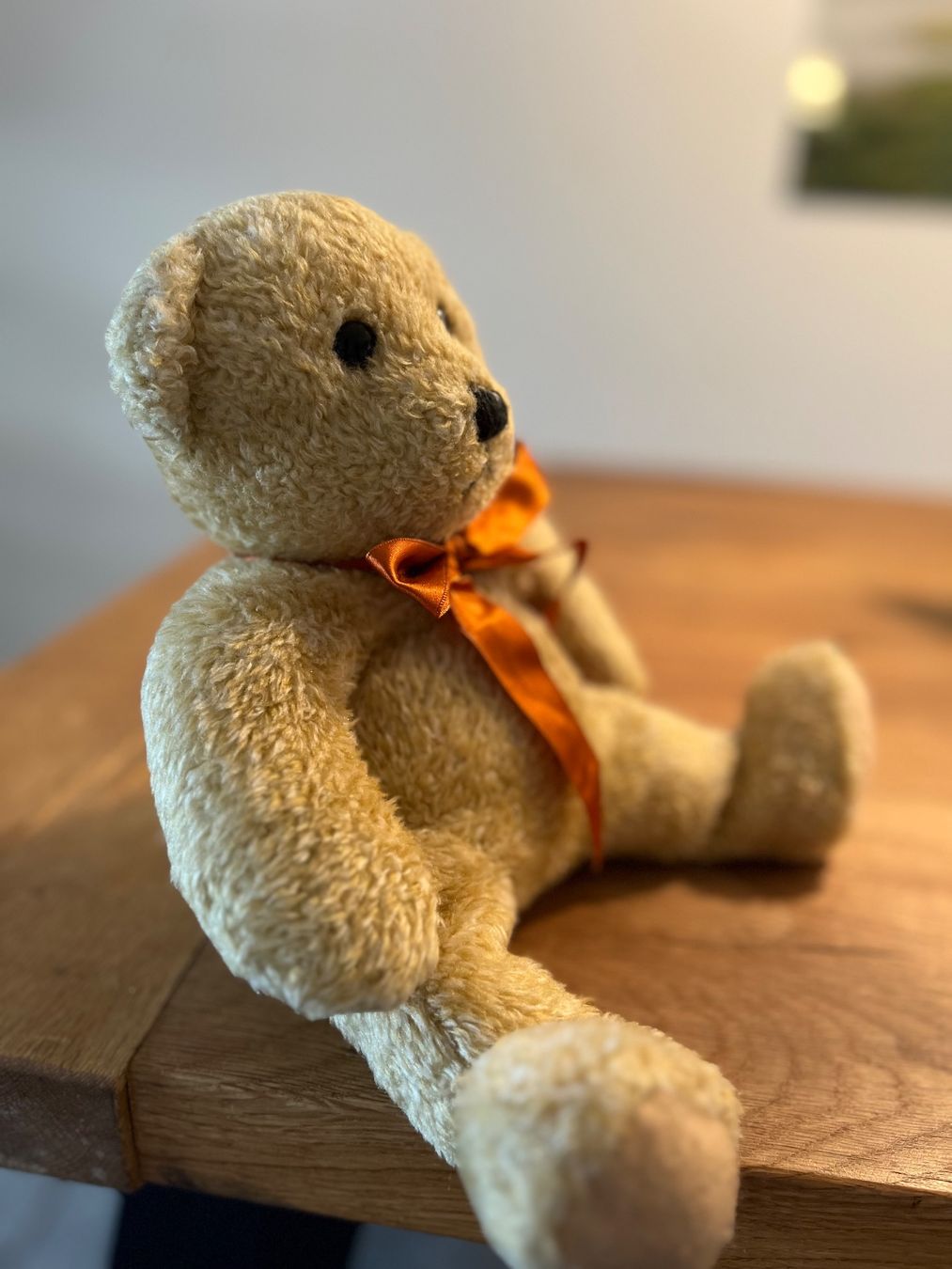 Giocattoli: herziger Teddybär – Usato da Wohlen AG venduto da momo_1973 2