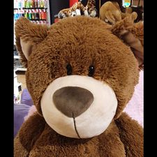 Profile image of Nabuco