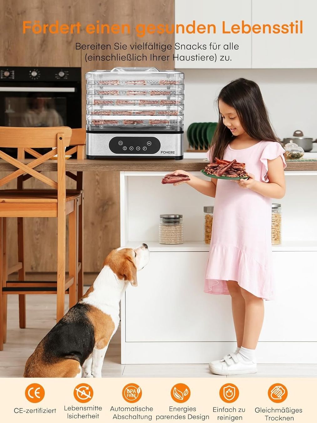 Elettrodomestici da cucina: Dörrautomat 5 Tabletts 420W Timer Edelstahl – Nuovo e nell'imballaggio originale da St. Gallen venduto da sch_zsz7 7