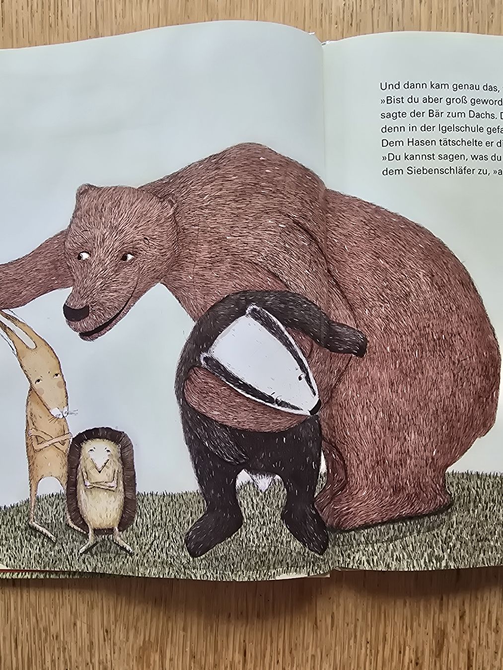 Bücher: Bilderbuch  Immer dieser Bär. Mit CD – Gebraucht aus Hedingen von mickway 3
