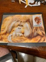 Carte postale illustrée Indonésie - Orang-outan rare!
