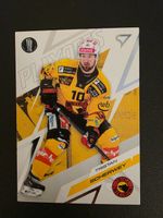 2025/26 SCB Bern Tristan Scherwey Playoffs