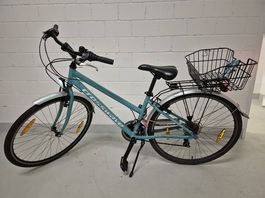 Fahrrad Crosswave