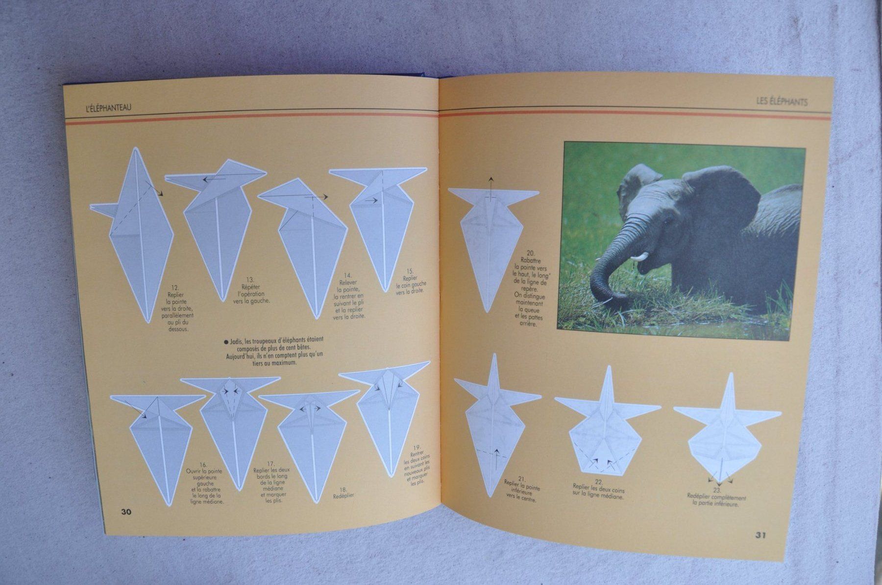 Bücher: Origami - le monde des animaux - Fleurus – Gebraucht aus Fully von Minouchka 2