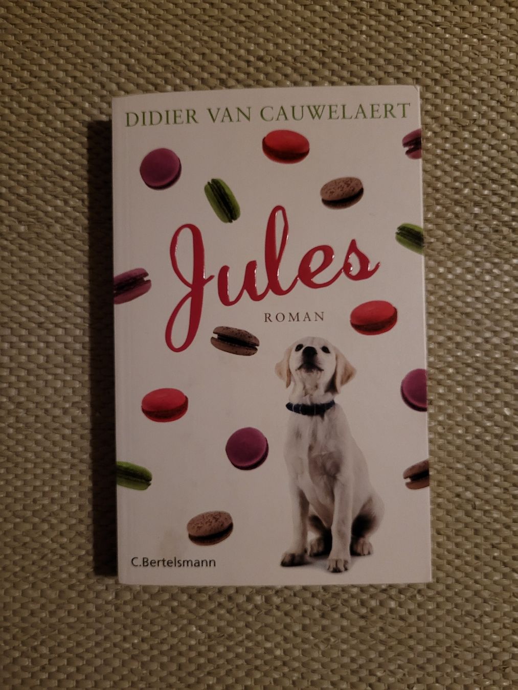 Bücher: Jules – Gebraucht aus Perlen von Safari_23