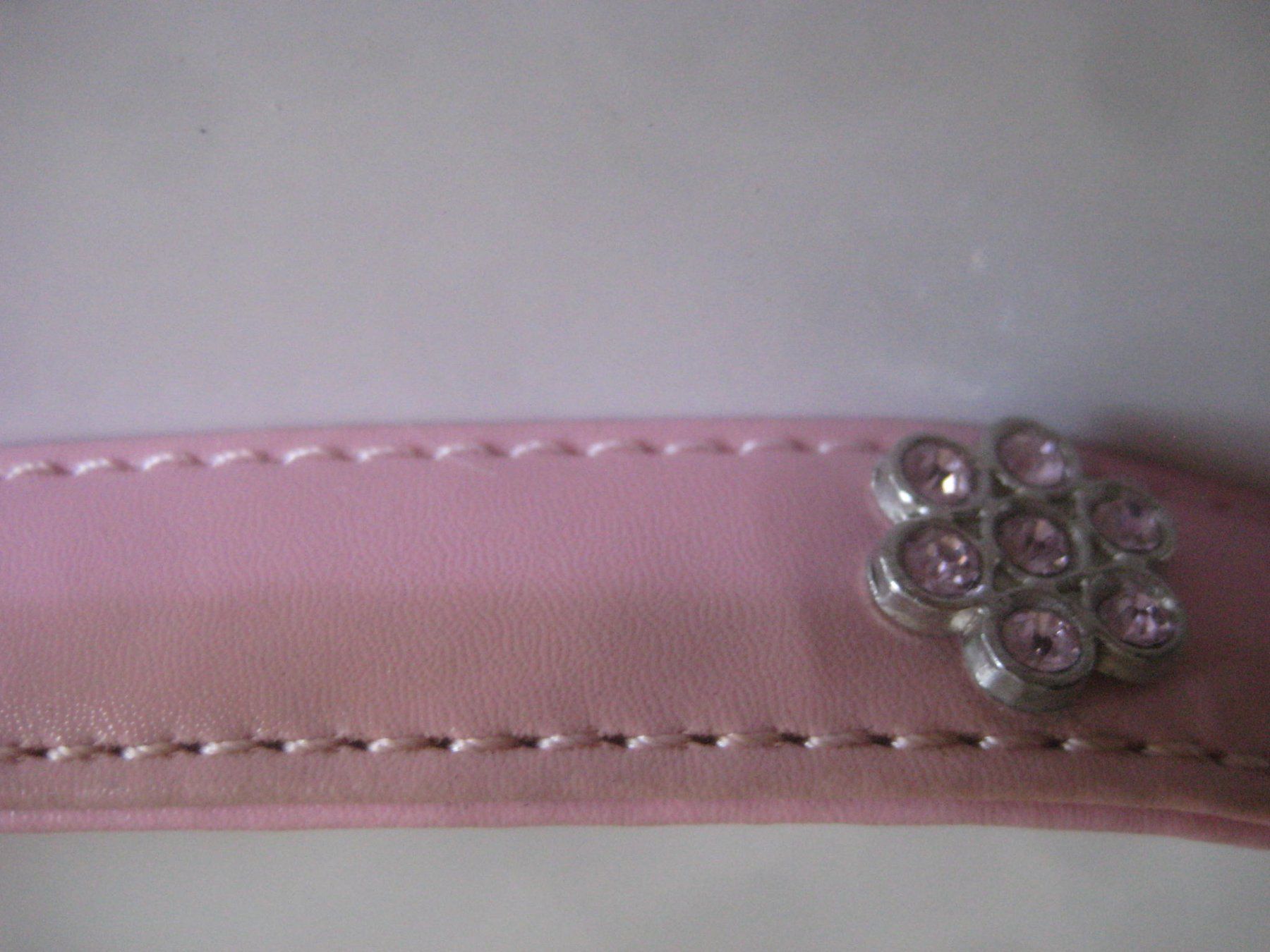 Guinzagli & Collari: HUNDE  HALSBAND – Usato da Uster venduto da flocke1 2
