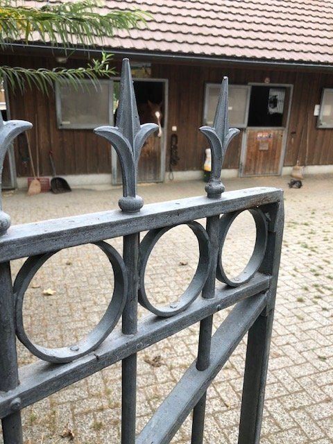 Porte: Antikes Doppelflügeltor – Usato da Seon venduto da Sock21 1