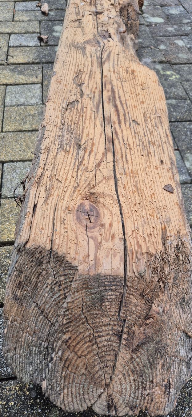 Articoli in legno: Altholz Balken – Usato da Moutier venduto da Maria1704