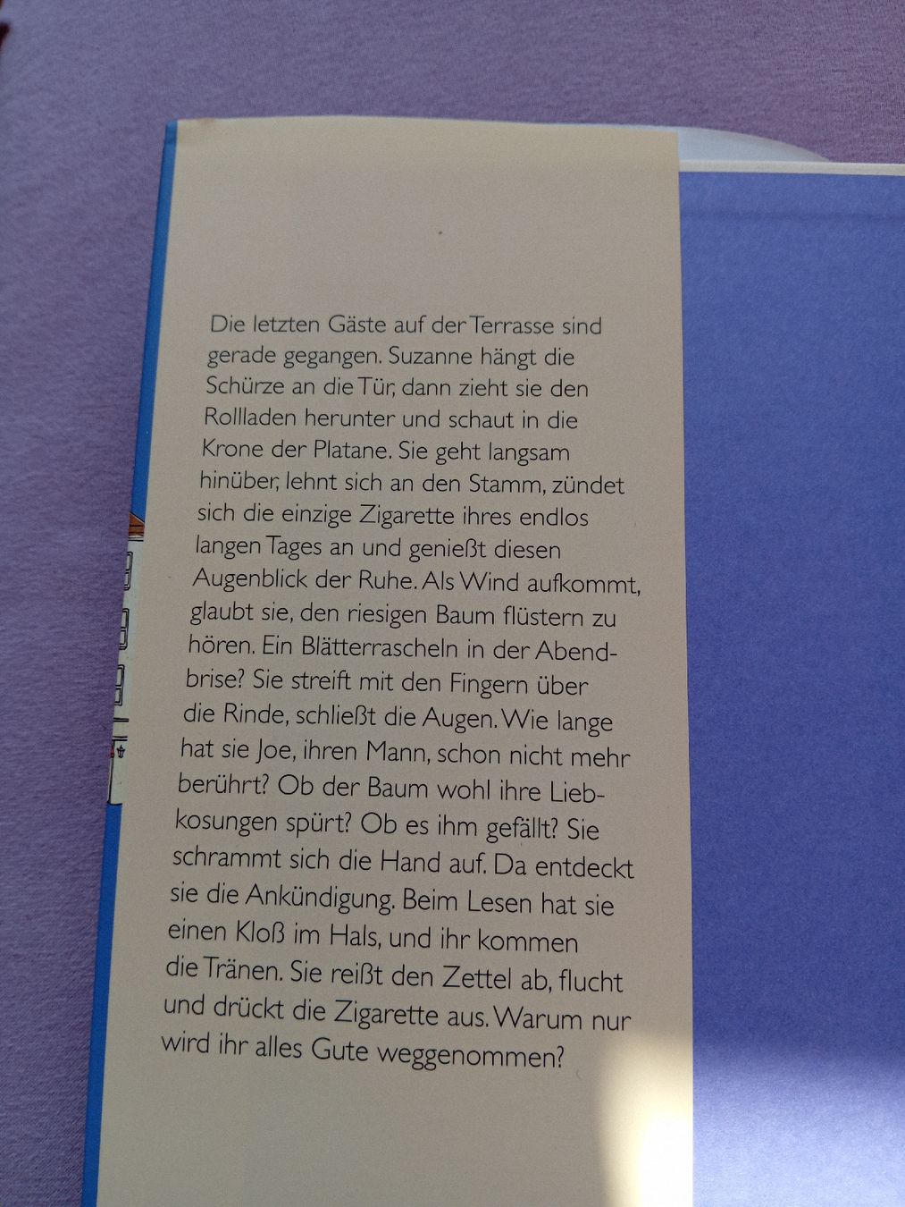 Libri: Buch: Eines Tages in der Provence – Usato da Witterswil venduto da hele04 2
