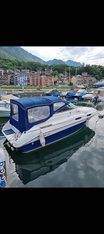 Bateaux: Bateau moteur Sea Ray – D'occasion à L'Auberson par Phil_3plus3 4