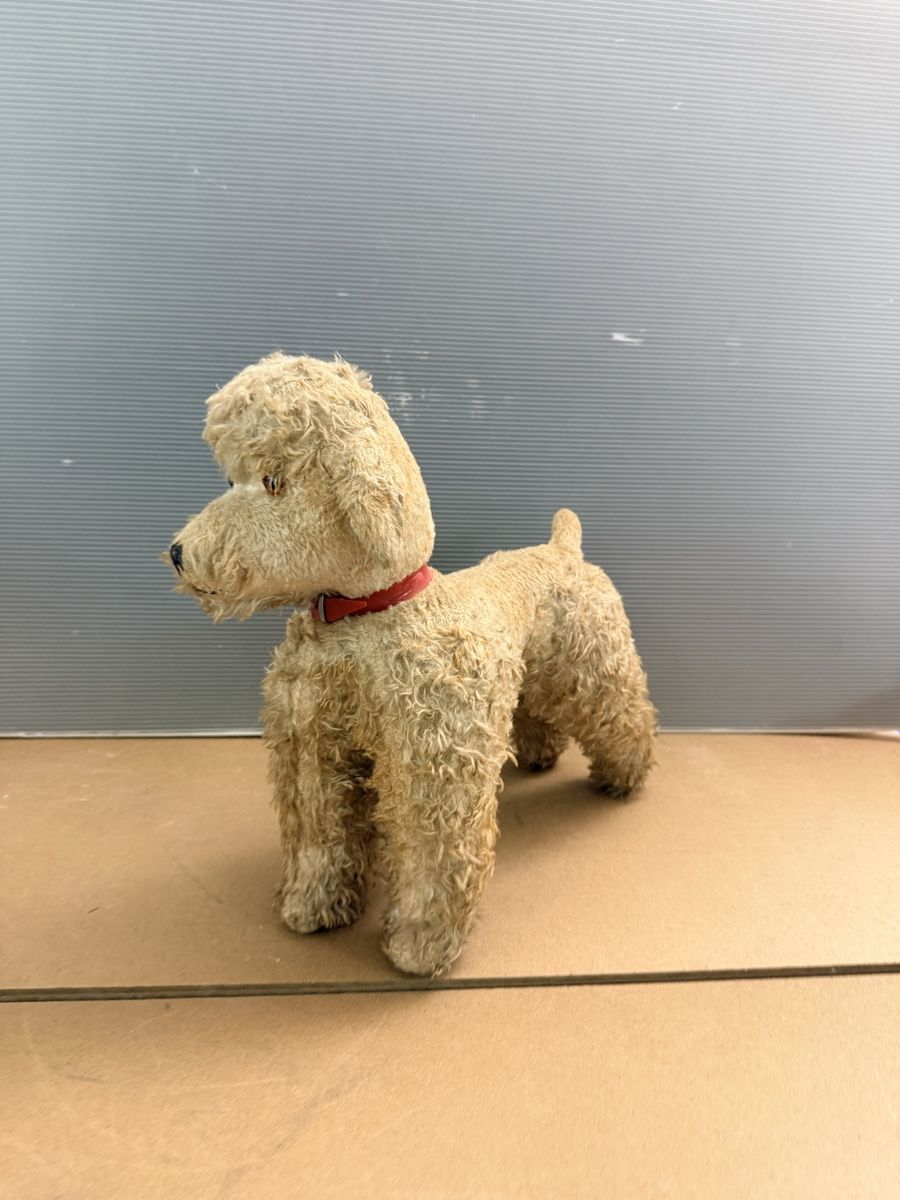Giocattoli: Alter Plüschhund – Usato da Solothurn venduto da NUVICO 7