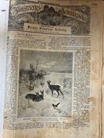 3 Bücher mit Zeitungen 1905, 1918, Bündner, Alphorn, Kinderb