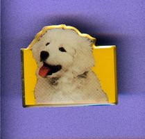 Pedigree Pal  Hundefutter