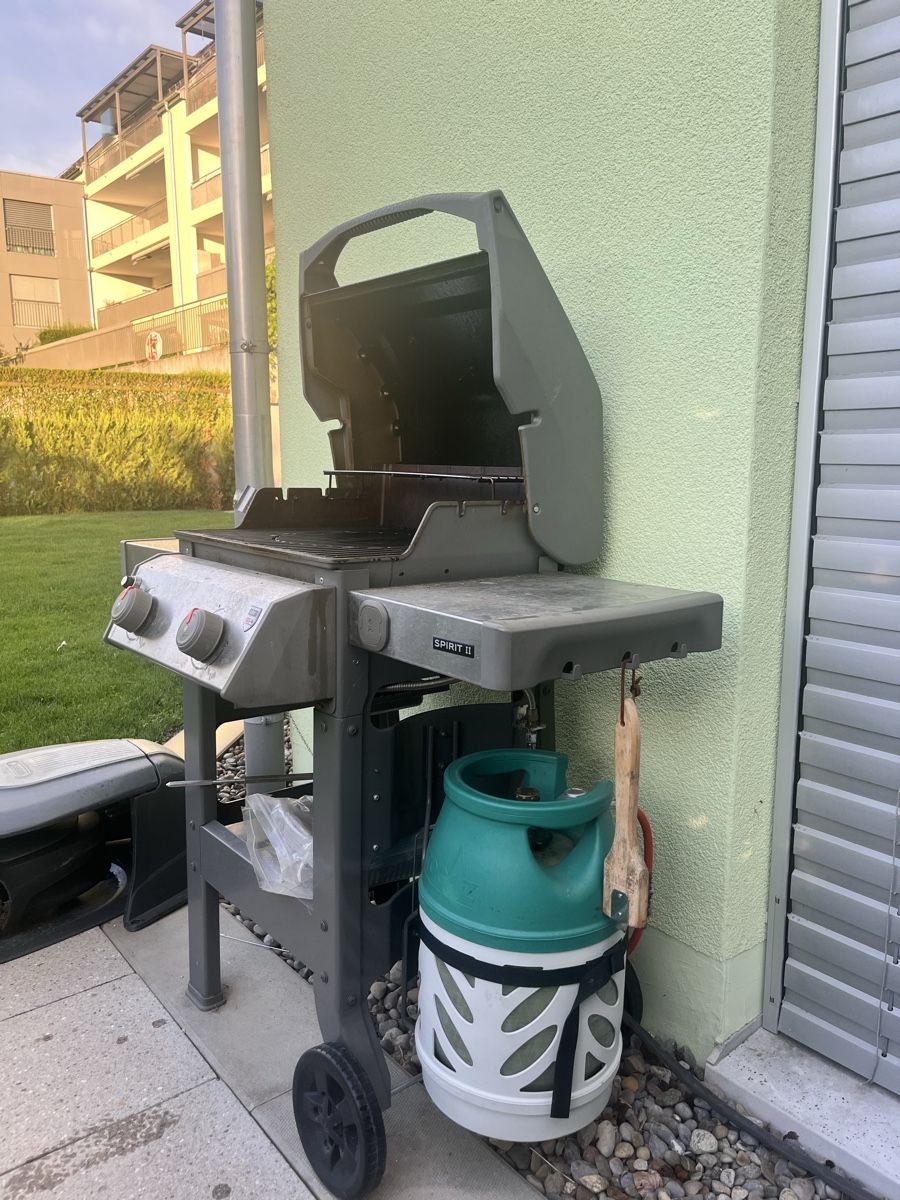 Grils: Weber E-210 with Gas and Cover  – D'occasion à Lufingen par cas_f5qg 2