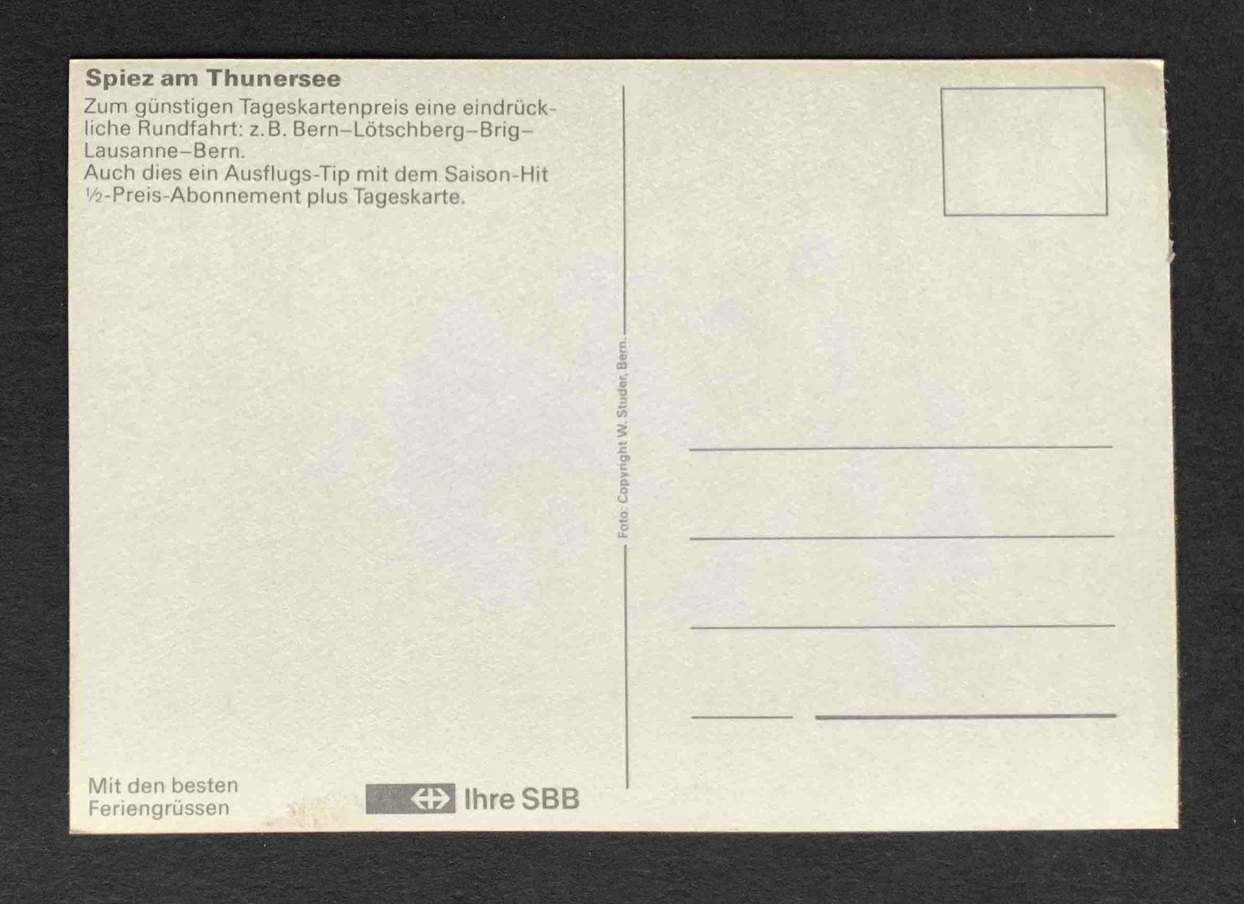 Cartoline postali: AK Spiez am Thunersee SBB Karte – Usato da Goldau venduto da artelier1 1