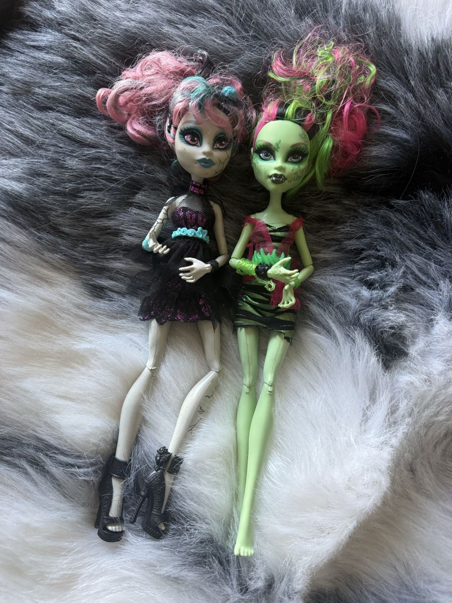 Puppen: MONSTER HIGH ROCHELLE GOYLE ET VENUS MCFLYTRAP – Gebraucht aus La Tour-de-Peilz von Doriane.sch