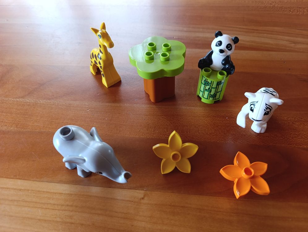 Duplo Jouets: Duplo Lego süße Tierkinder – D'occasion à Oberarth par sil_9dfs 3