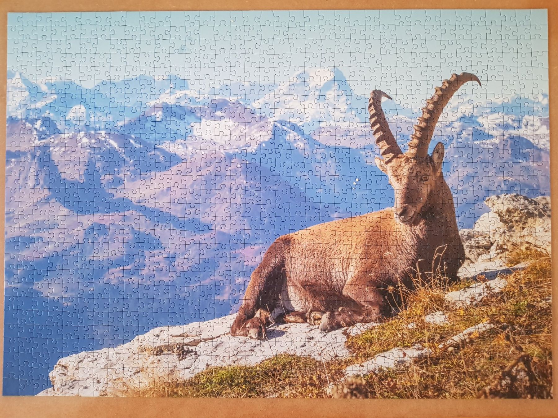 Puzzles: Puzzle von Ravensburger 1000 Teile – Gebraucht aus Thalwil von SebastianH01 1