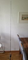 Angelrute Set Daiwa Silver Creek 2.30m 2-teilig, Spoon 0.5-5