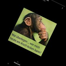 Profile image of halle14471