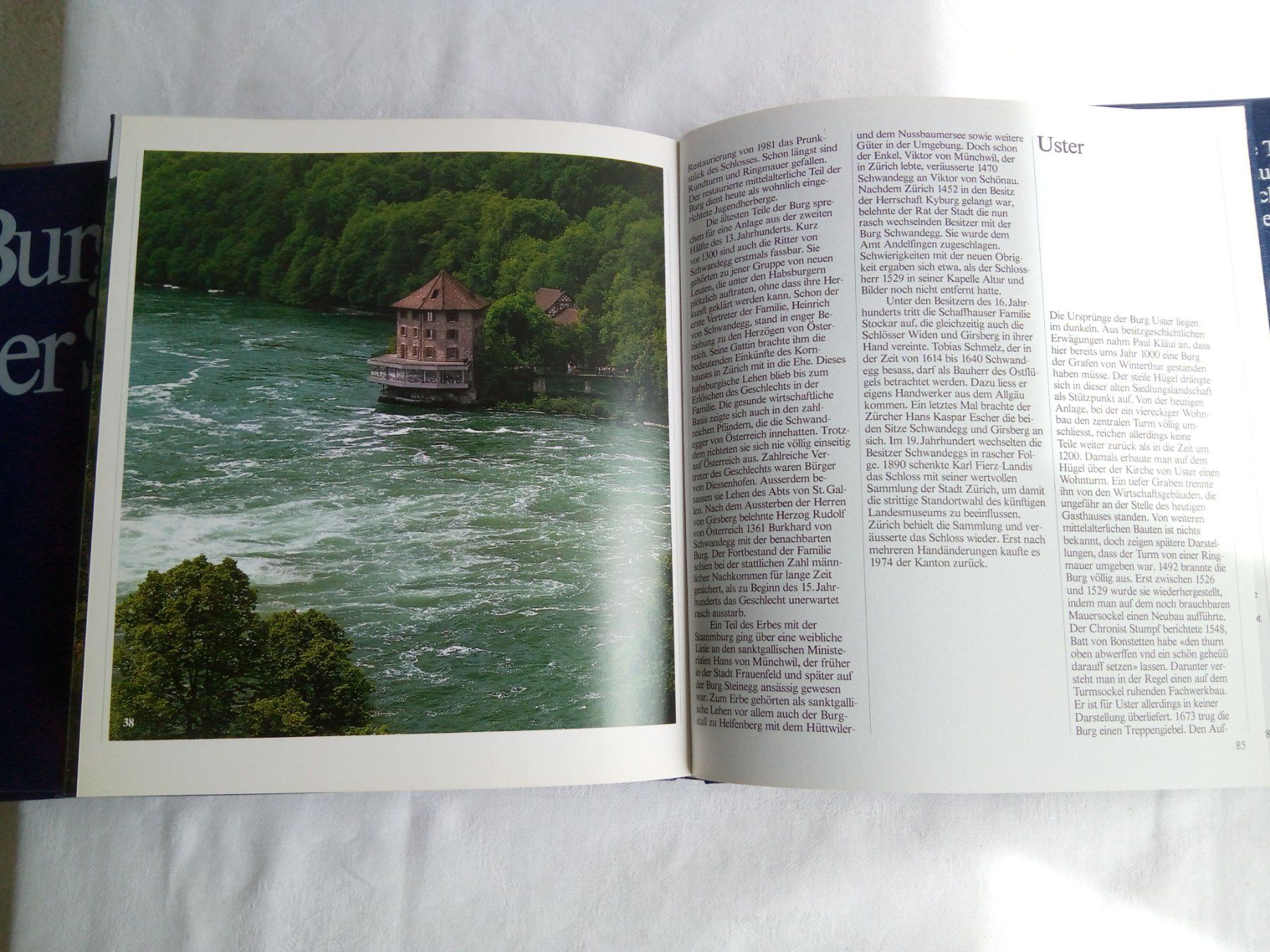 Libri: Burgen der Schweiz; 9 Bände – Usato da Pratteln venduto da Zund-88-Funken 4