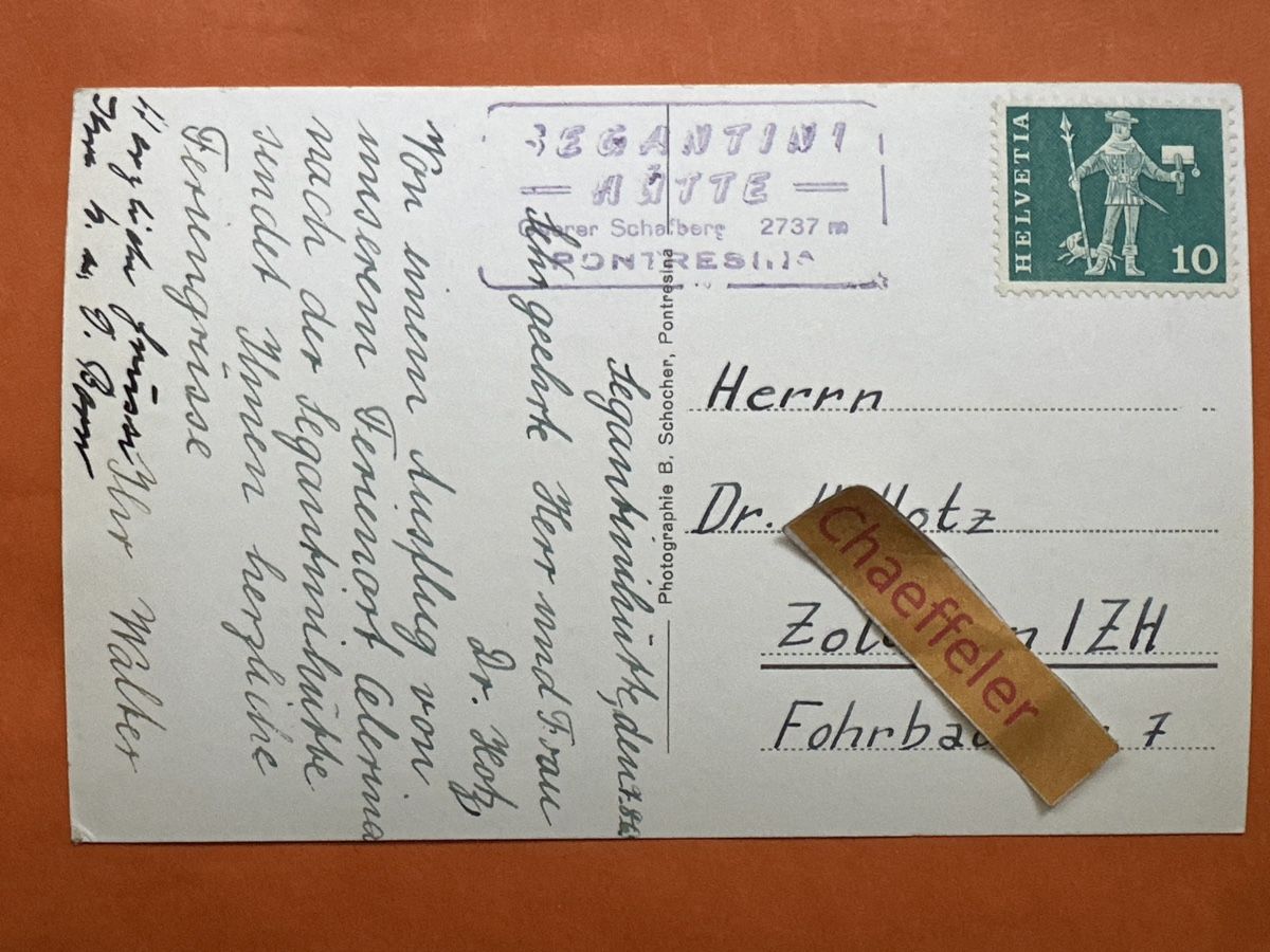 Cartoline postali: 292 oberer Schafberg mit Berninagruppe. – Usato da Zürich venduto da Chaeffeler 1