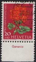 20 Rp. Geranium mit TAB (Geranio)