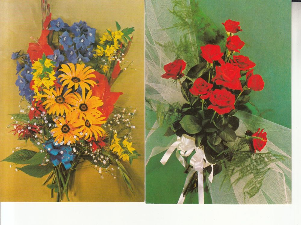 Cartoline postali: Floristik ca. 1970 5 Stk – Usato da Bürglen TG venduto da StampGraf 3