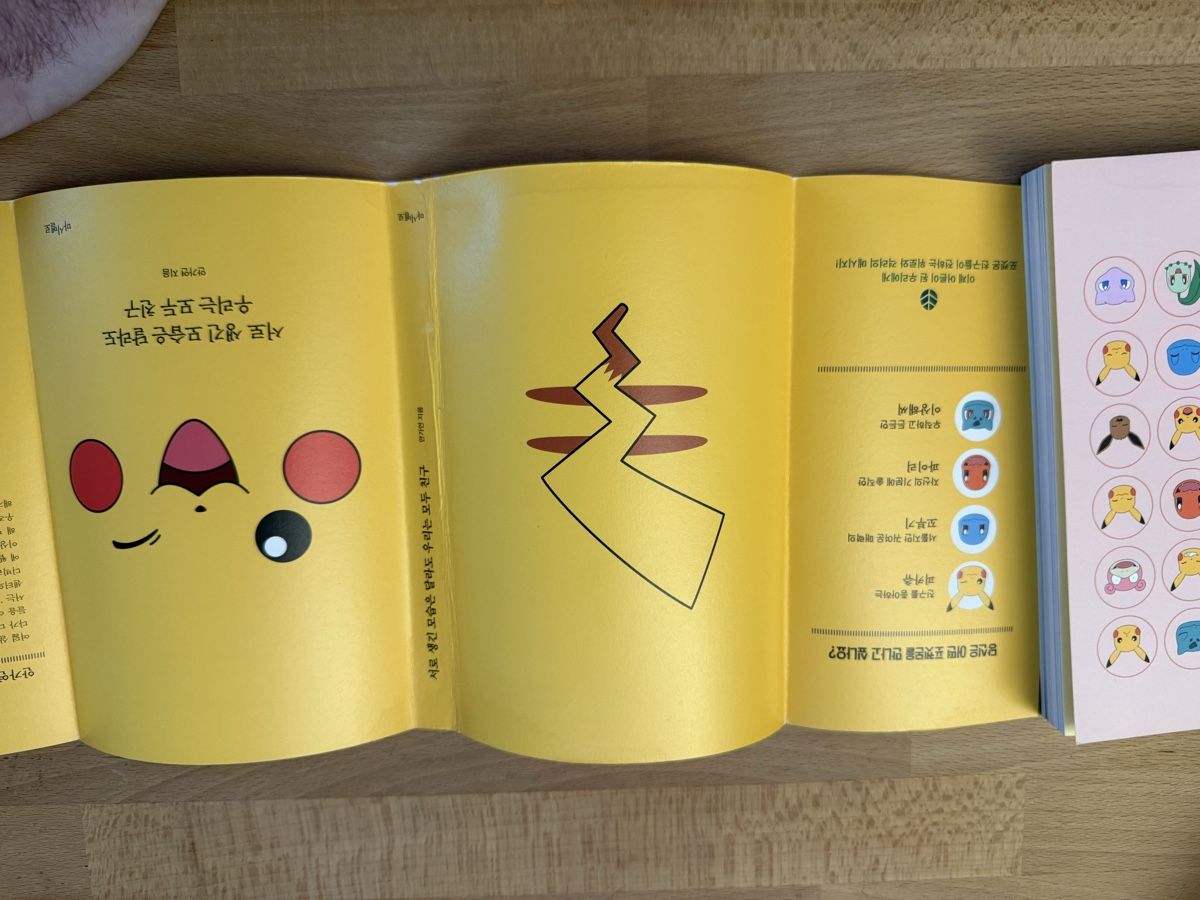 Libri: Livre Pokémon pikachu – Usato da Kloten venduto da Mumiiin 5
