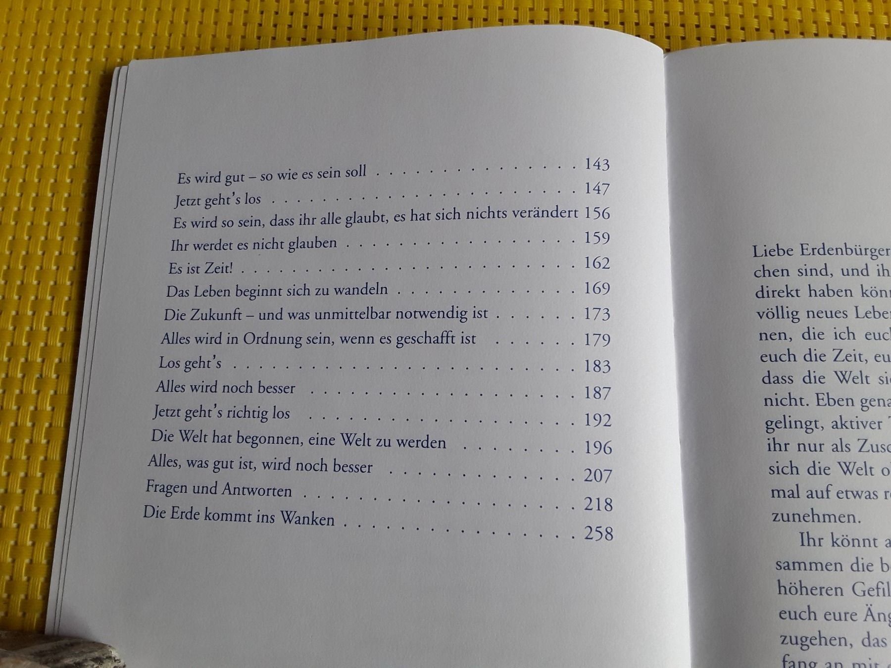 Libri: Die Rückkehr ins Paradies – Usato da Rebstein venduto da Buchsi03 3