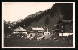 AK Lenk, Teilansicht Iffigenalp
