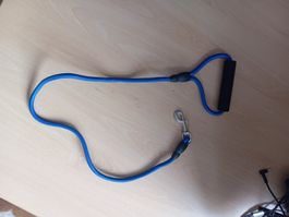 Blaue, neuwertige Hunde-Leine mit Handschlaufe, 120 cm