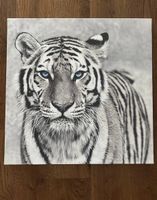 Leinwandbild Tiger - neuwertig - 65x65cm