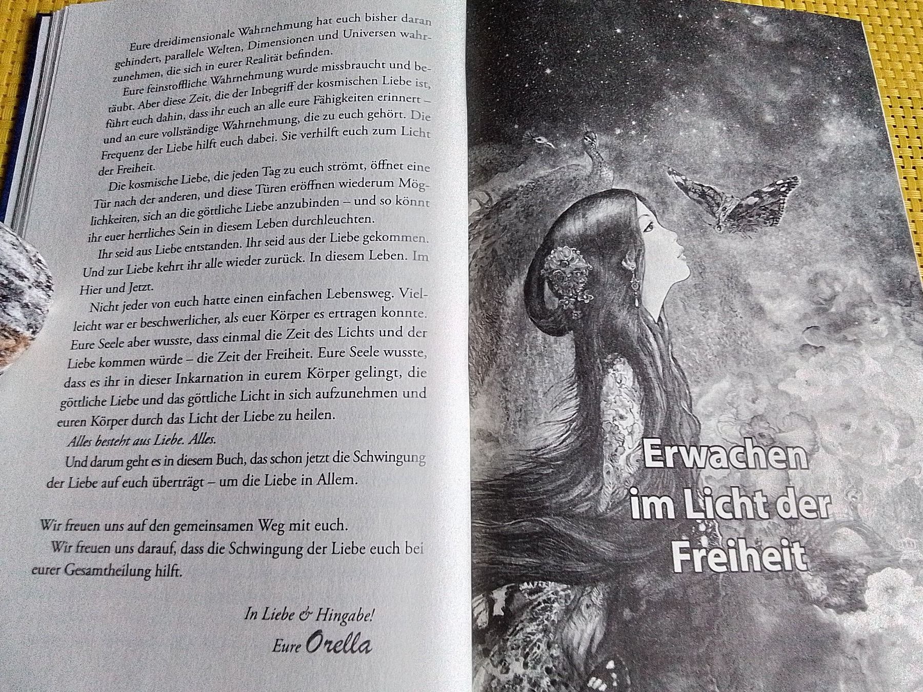 Bücher: Lichtbotschaften von den Plejaden  -  Band  9 – Neu und originalverpackt aus Rebstein von Buchsi03 9