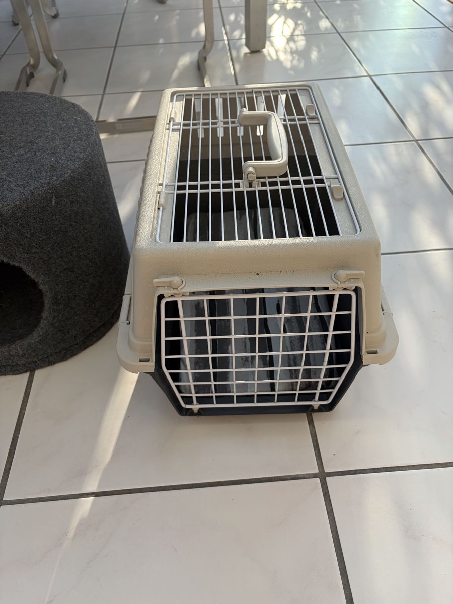 Tiragraffi: Katzen - Geräte – Usato da Gontenschwil venduto da bluetrain02 3