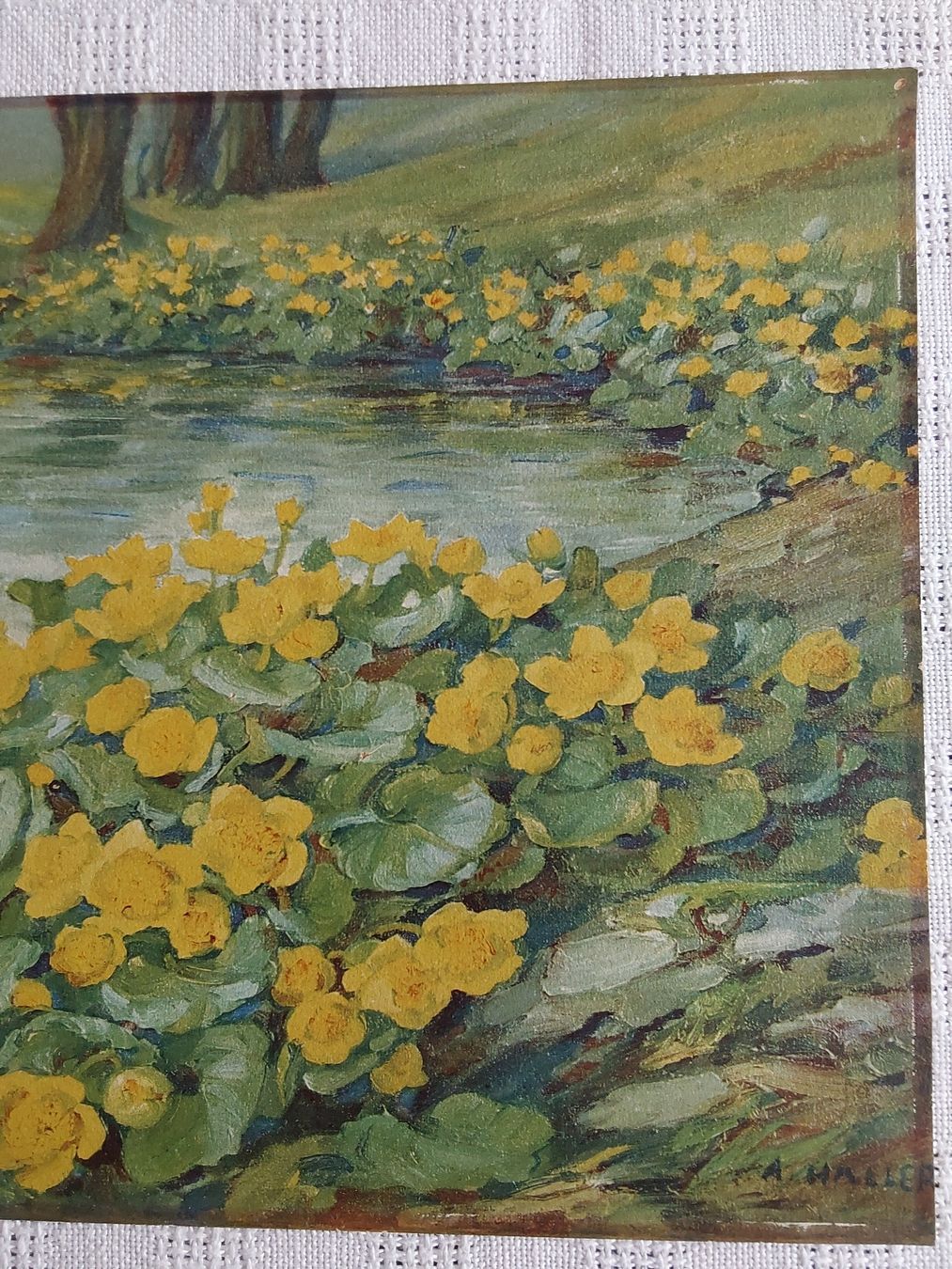 Foto & Immagini: Anna Haller Grafik 21x30cm. – Usato da Steinach venduto da Chilli1957 2
