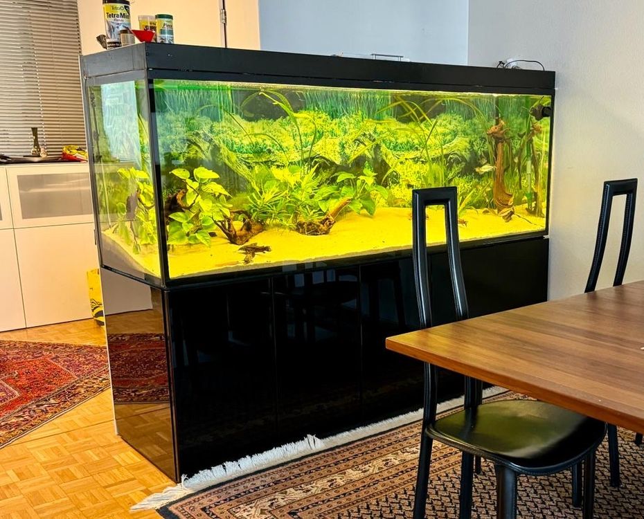 Aquarium Mit Unterbau Kaufen Auf Ricardo