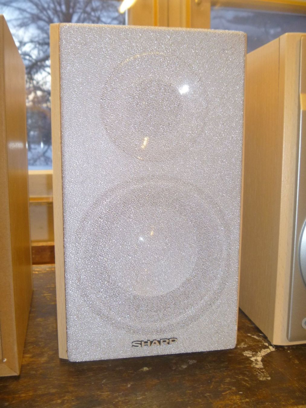 Sharp Casse acustiche: kleine Lautsprecher 6 Ohm 100Watt Sharp – Usato da Rüti ZH venduto da baumchen 4