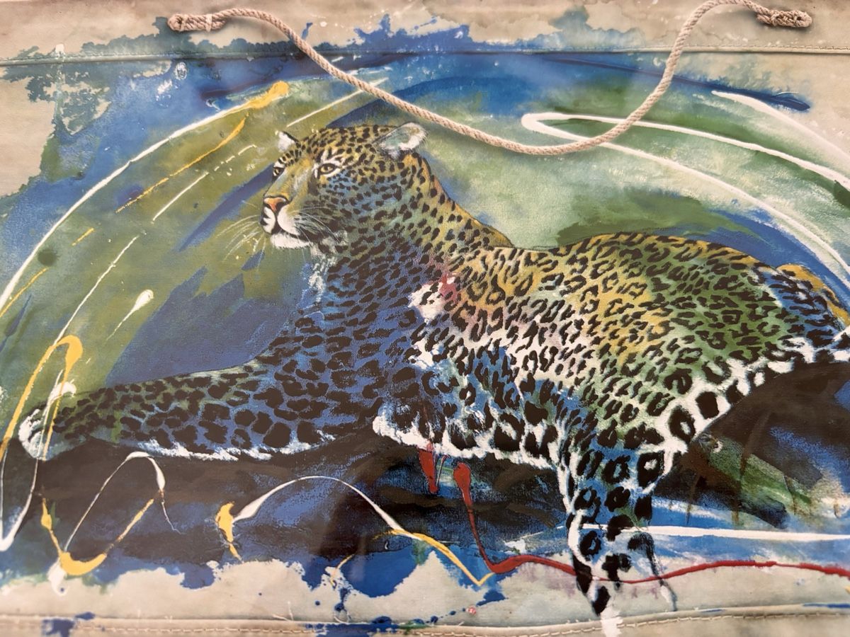 Foto & Immagini: Kleines Rolf Knie Leopard Bild – Usato da Bern venduto da cocacola123 1