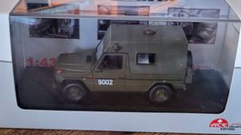 Steyr-Puch GE 230 Hochdach Kdo Fz 1:43 ACE