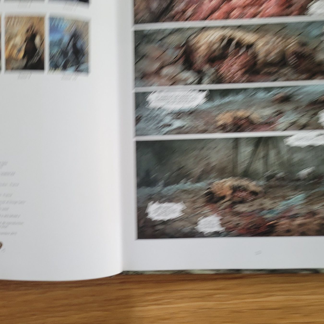 Fumetti: BD Elfes Tome 9 Le Siège de Cadanla – Usato da Biel/Bienne venduto da Destockweb 2
