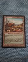 Magic The Gathering Düsterwasser Karte Sammelkarte Land