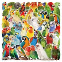 53 Aufkleber Sticker - Papageien