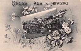 Gruss aus HERISAU schöne uralte Ansichtskarte 22.7.1906